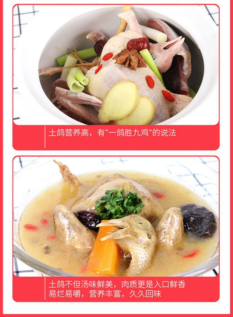 鸽子肉新鲜现杀乳鸽农家散养土鸽子批发元宝鸽煲汤新鲜乳鸽鸽子肉 蜜