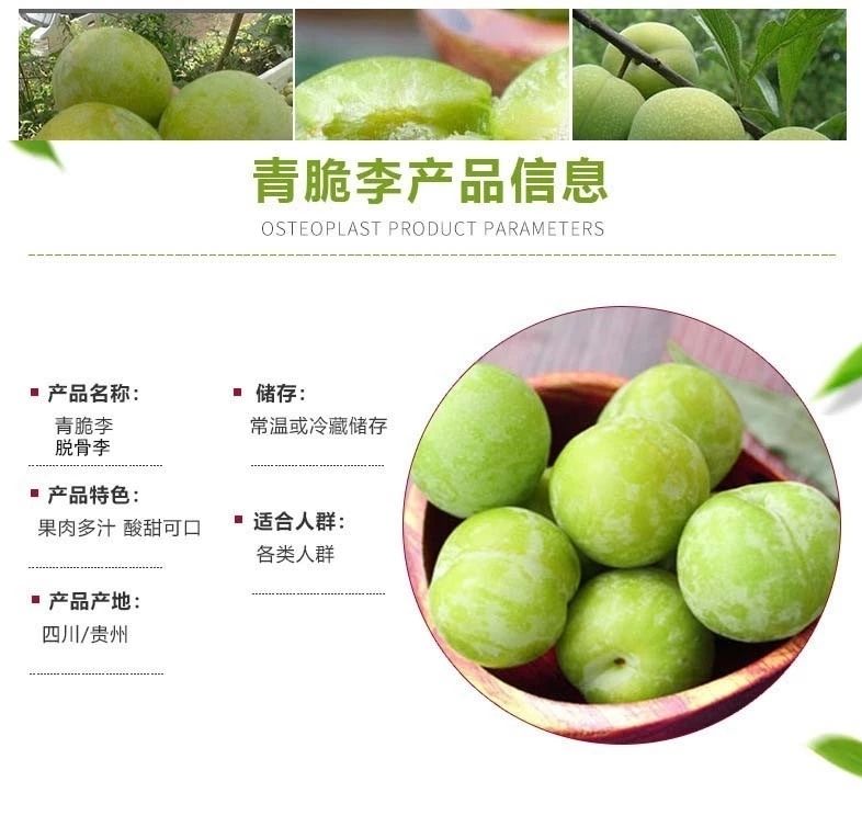 四川青脆李农家脱骨李汶川高山脆甜李特大土李子现摘孕妇新鲜水果1斤