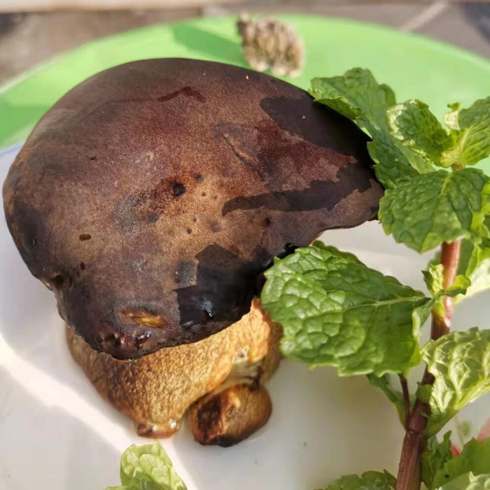 食豪锦 牛夫人牛肝菌 多规格 鲜牛肝菌牛夫人新鲜菌类云南特产新鲜