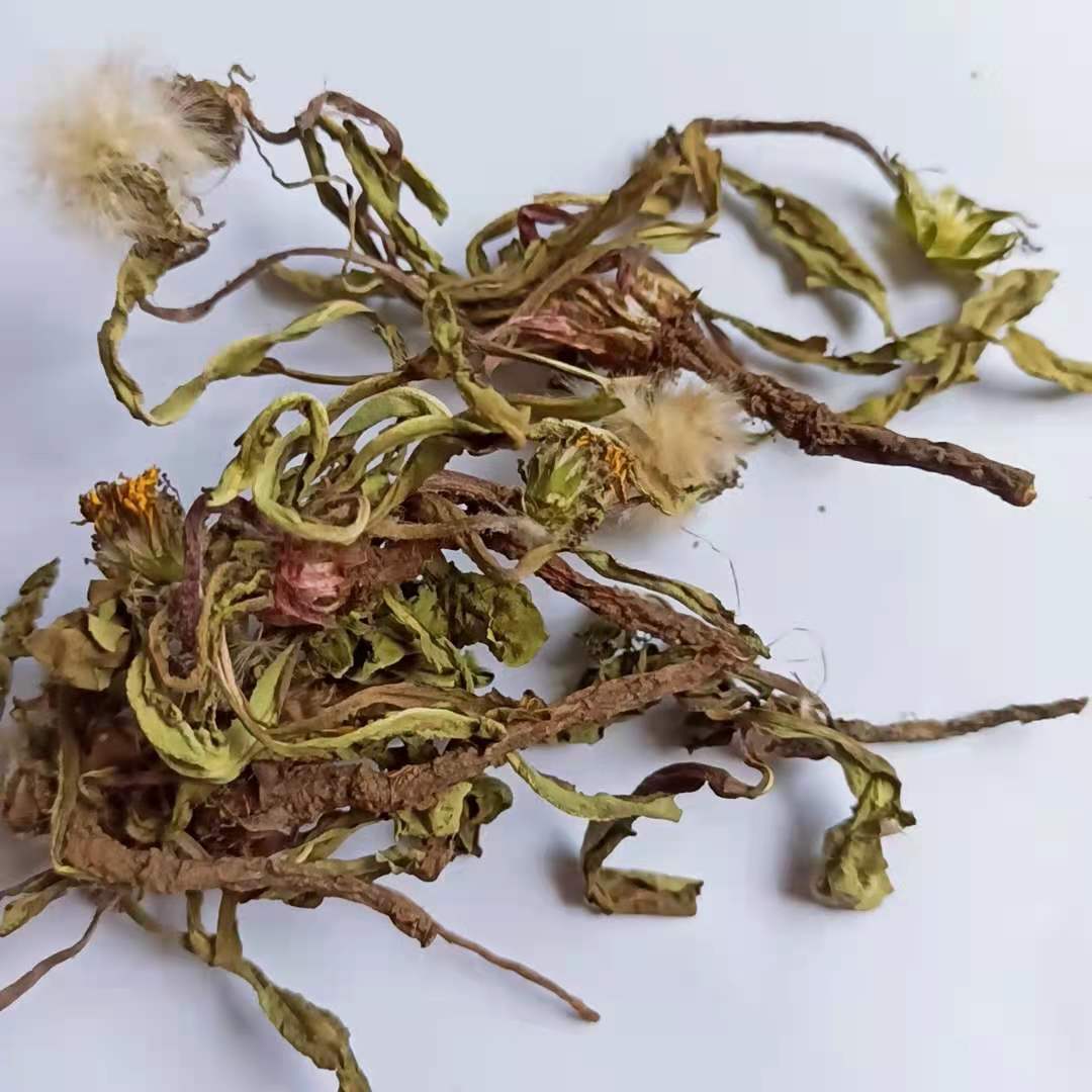 伟博21年干蒲公英茶中药材婆婆丁整棵带根晒干的泡水特级 5斤亏本超值