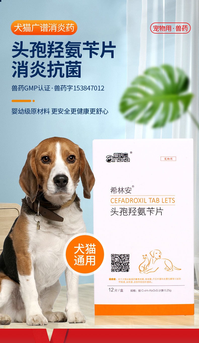 爱纳它希林安片猫癣药狗狗皮肤病药品猫咪尿路感染真菌猫藓呼吸道感染