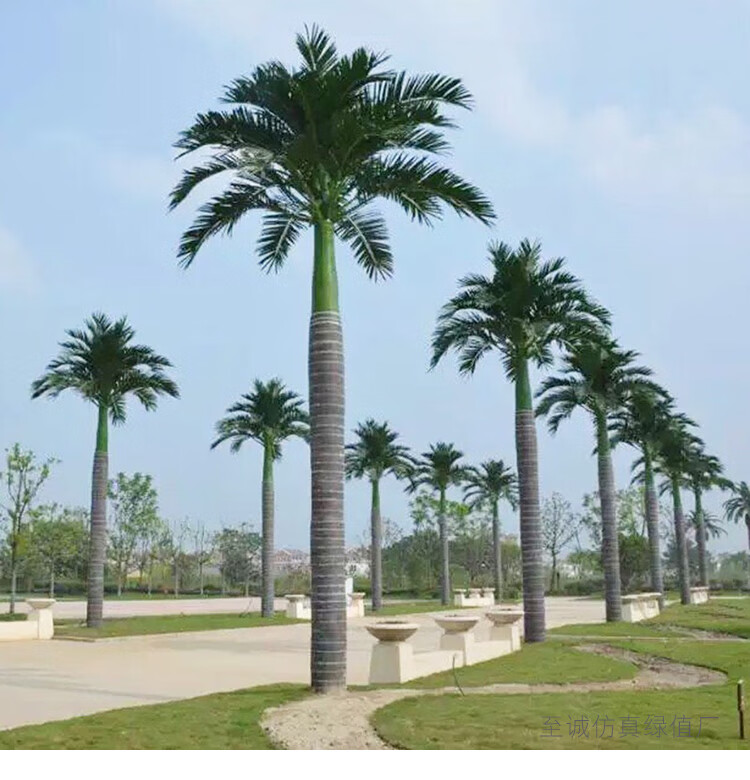 仿真椰子树大型人造景观树热带绿植装饰假椰树叶子户外假树棕榈树5米