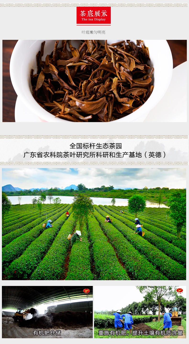 鸿雁红茶英红九号广东特产金毛毫特级英德红茶144克72克2罐商务礼盒国