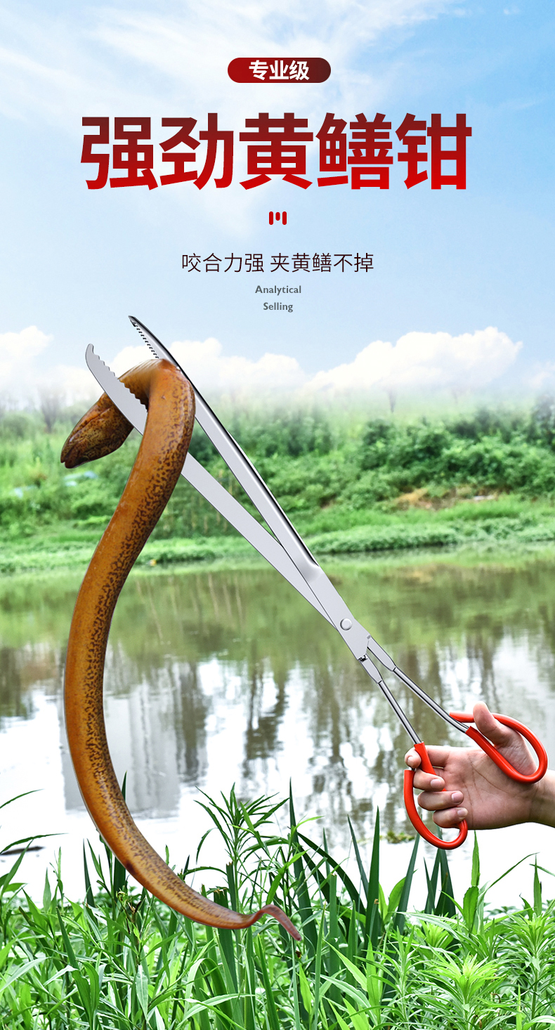 黄鳝夹鳝鱼钳抓鱼生铁钢泥鳅螃蟹夹子钳子防滑捉控专用工具加长赶海