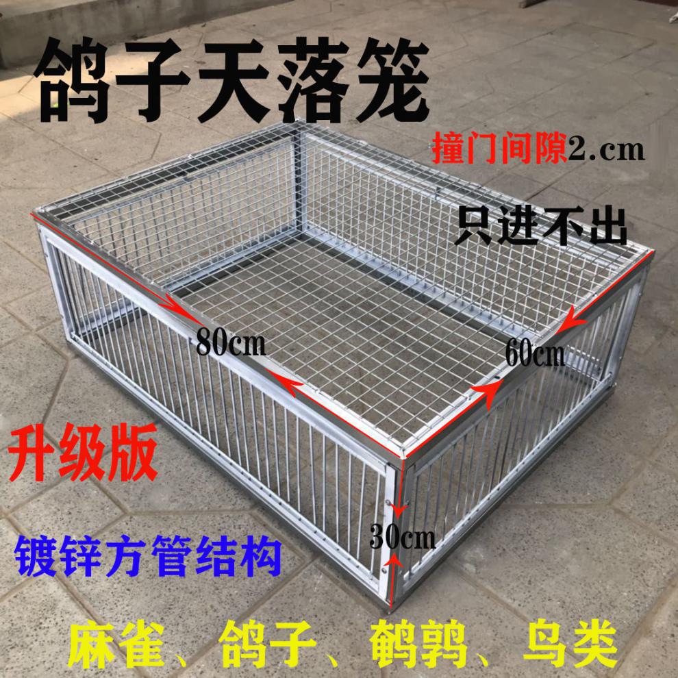 【京选推荐】天落笼信鸽只进不出加密抓鸽子笼斑鸠捕鸽神器野外全自动