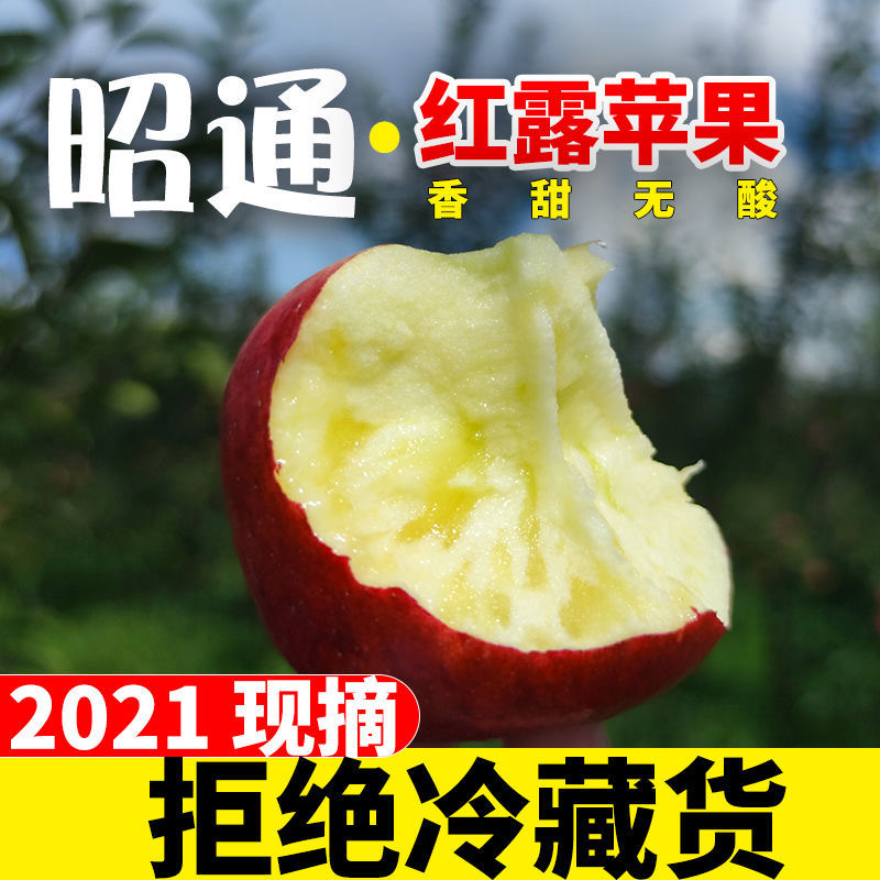 雲南昭通蘋果冰糖心醜蘋果華碩蘋果2021現發紅露帶箱10斤嘎啦新鮮水果