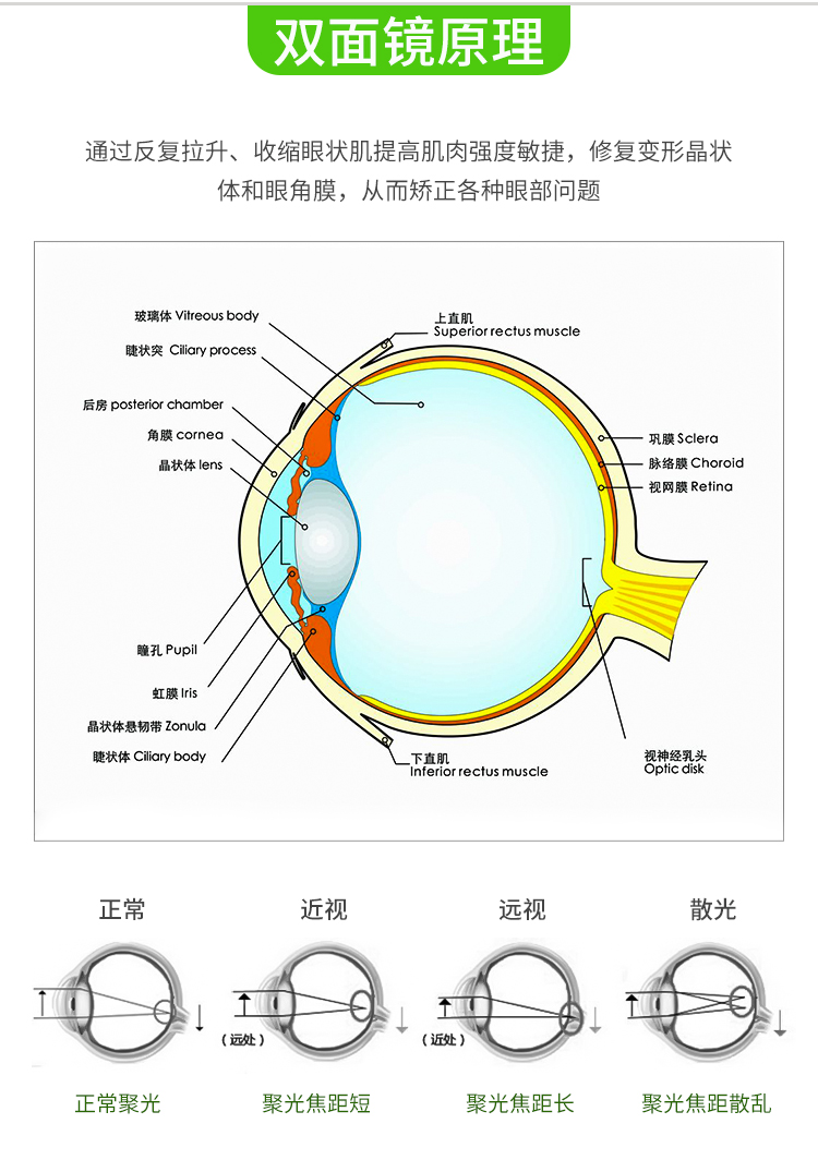 反转拍视力训练卡双面镜智能视功能蝴蝶镜弱视调节翻转拍儿童 【强烈