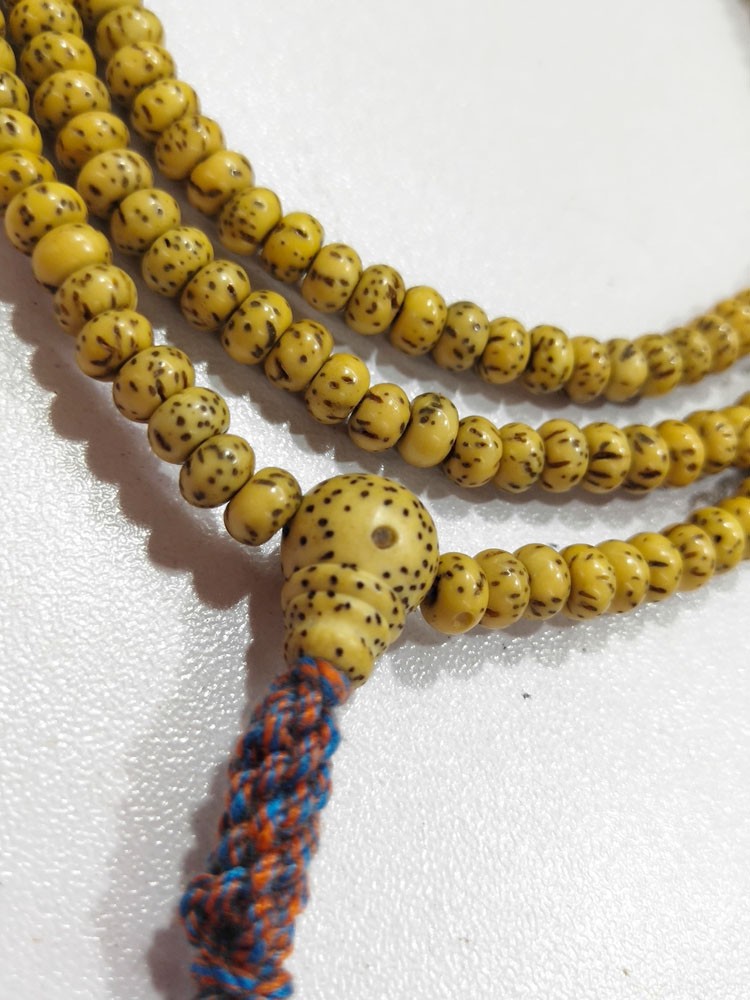 星月菩提子原籽小颗原生态鸡油黄小星月女迷你小星月菩提陈籽黄金籽3*