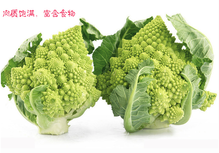 宝塔菜新鲜食用蔬菜意大利宝塔花菜佛头菜花椰菜一颗约500600g左右