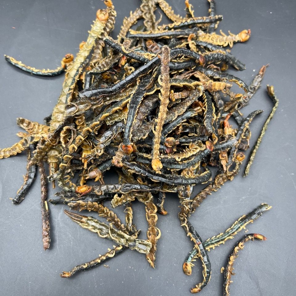 蜈蚣干中药材 大蜈蚣 无竹签蜈蚣皮 蜈蚣肉 川足蜈蚣 百足虫 大点(约