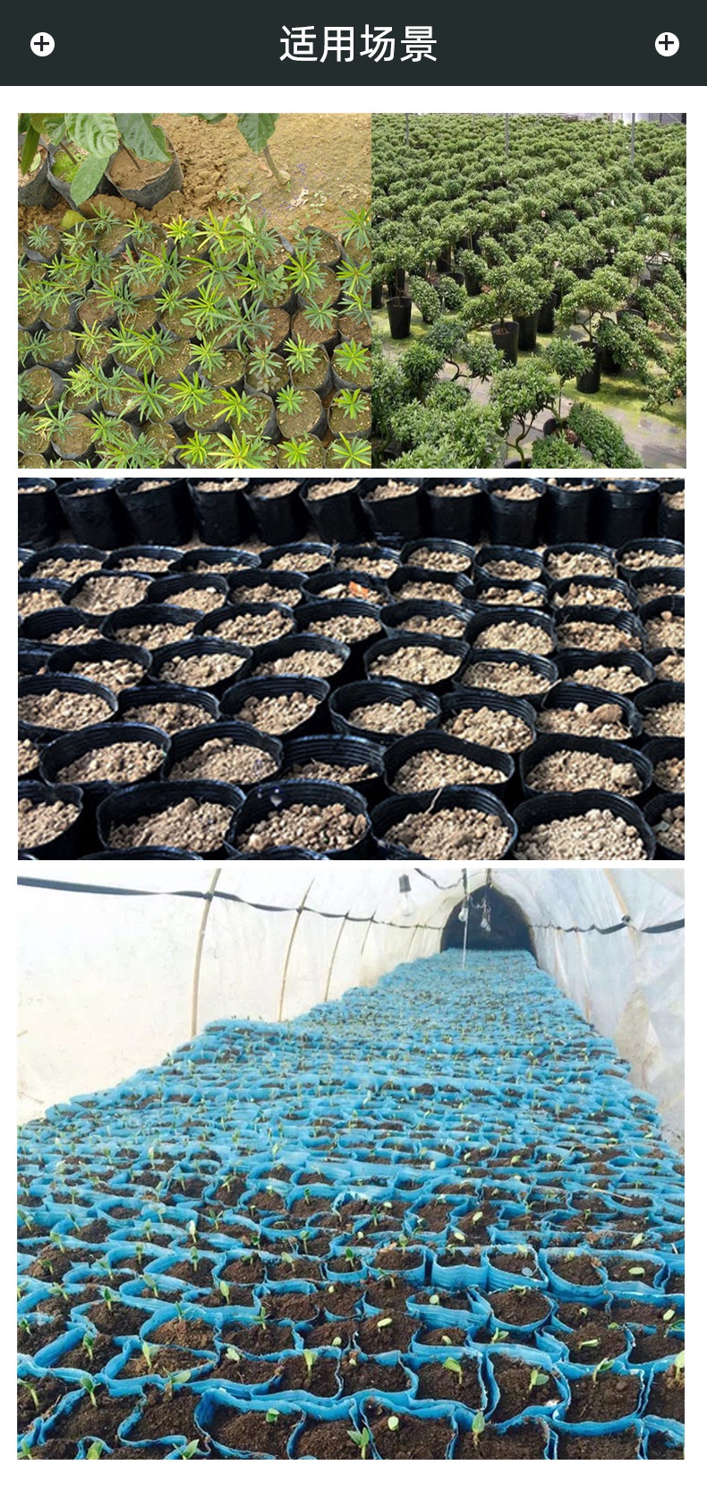 农民老史营养钵育苗盆加厚种植塑料袋装土穴盘四季大棚一次性花盆育苗