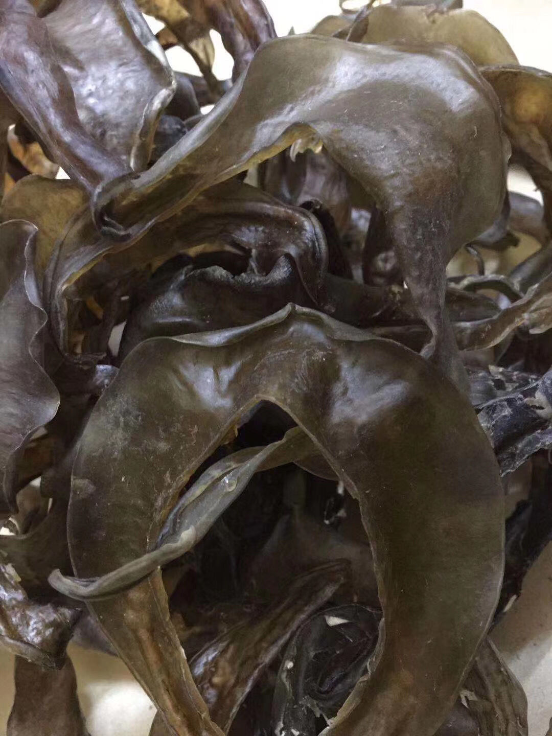 伟博甲鱼裙边鳖边一斤40个干净酒店饭店用品质量好营养丰富水鱼裙边