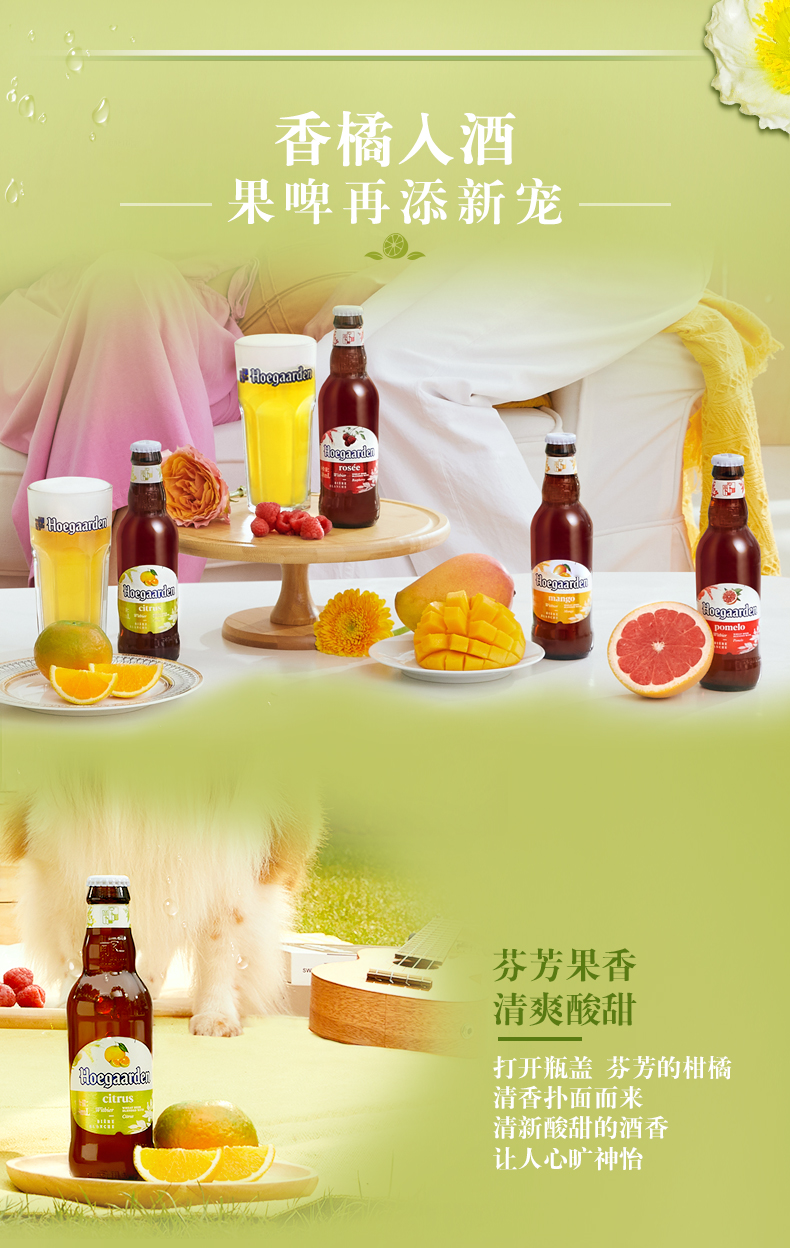 橘啤酒小麦白女士酒果味精酿啤酒248ml瓶新日期福佳琥珀橘248ml6瓶