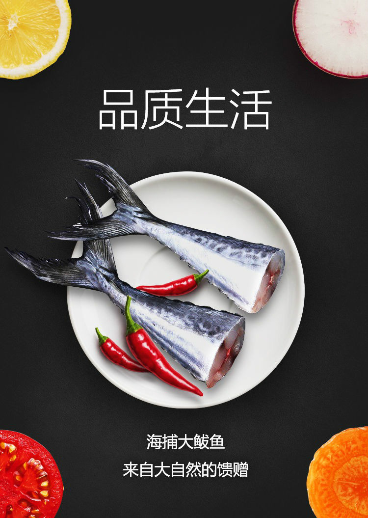鲅鱼尾新鲜鲅鱼尾大号速冻1斤6-8个实惠海产品海鱼 普米加罗 鲅鱼尾2