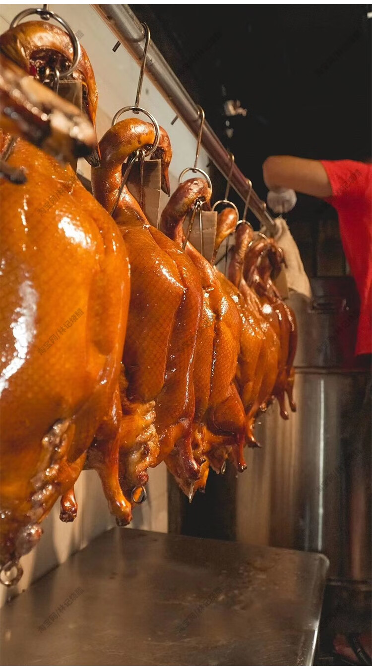 宓蝶 烧腊烧鸭烧鹅技术配方教程广东脆皮烤鸭广式烤鸭港式烧鸭深井