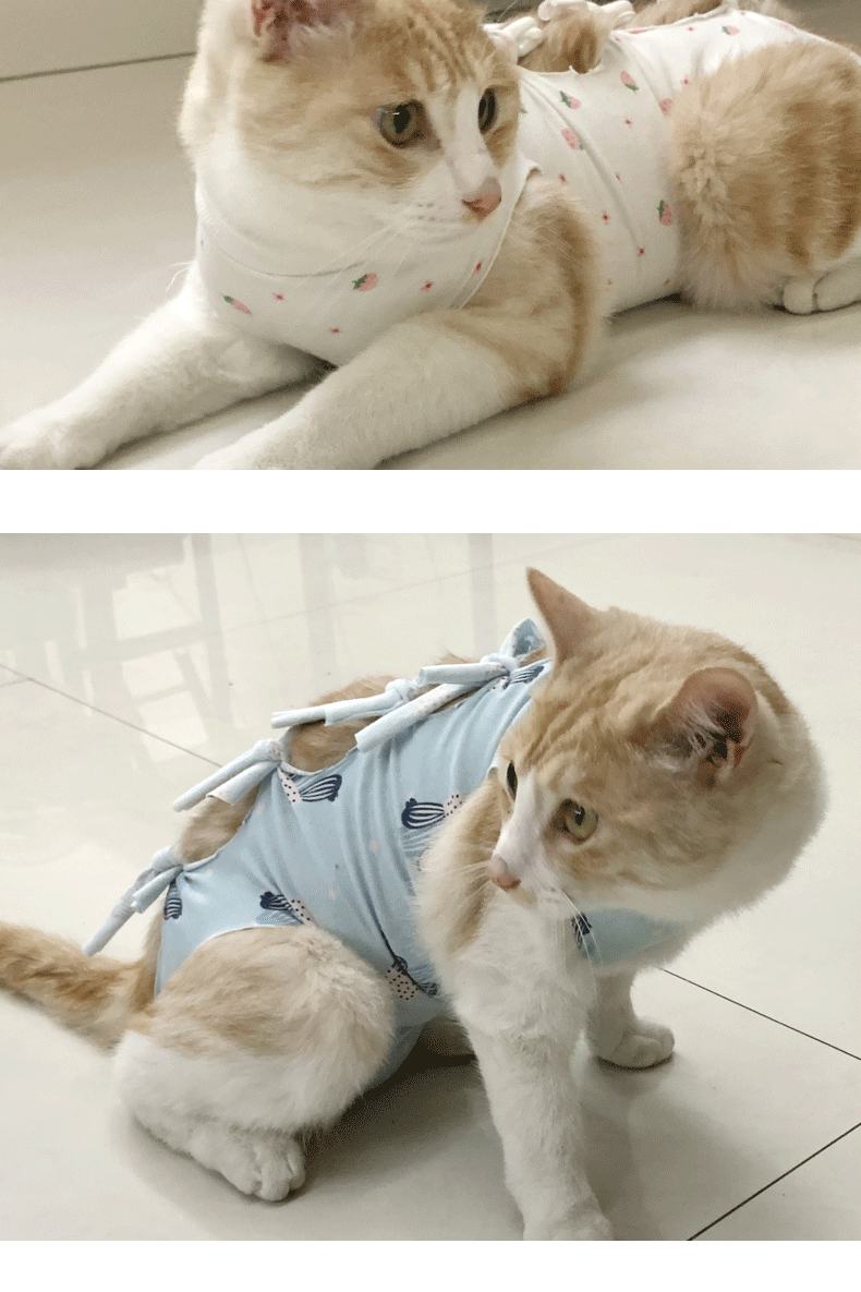 唐宠 猫绝育服猫咪手术衣夏季断奶服防舔防挣脱术后服母猫驱虫透气