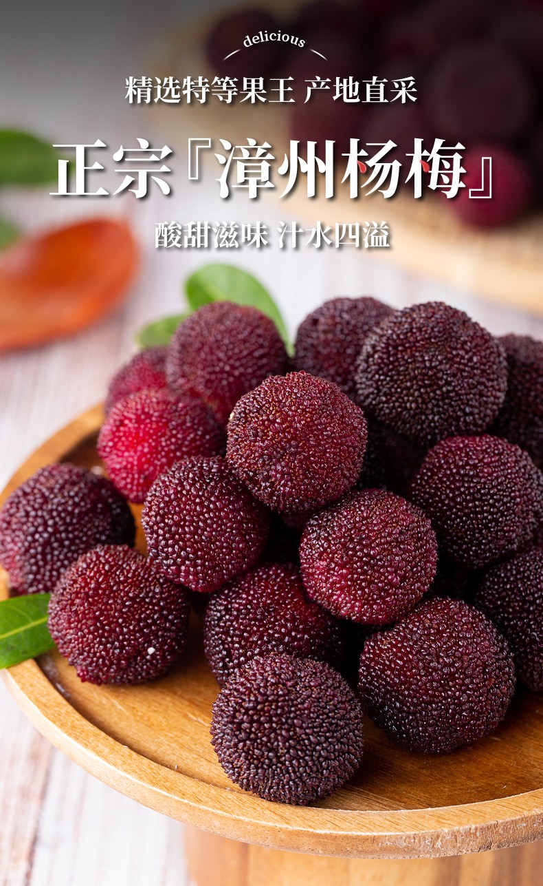 顺丰空运龙海浮宫早梅福建漳州杨梅鲜果新鲜水果现摘现发荸荠非冰东魁