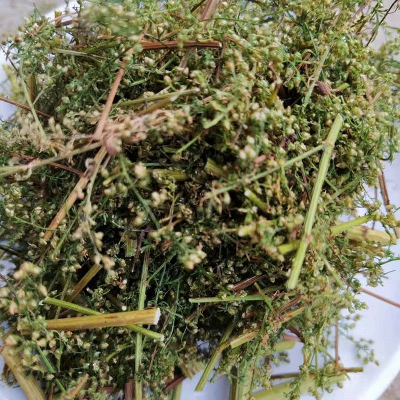 伟博新鲜青蒿黄蒿中药材干品苦蒿草青蒿草细叶黄花蒿子香臭蒿段黑 250