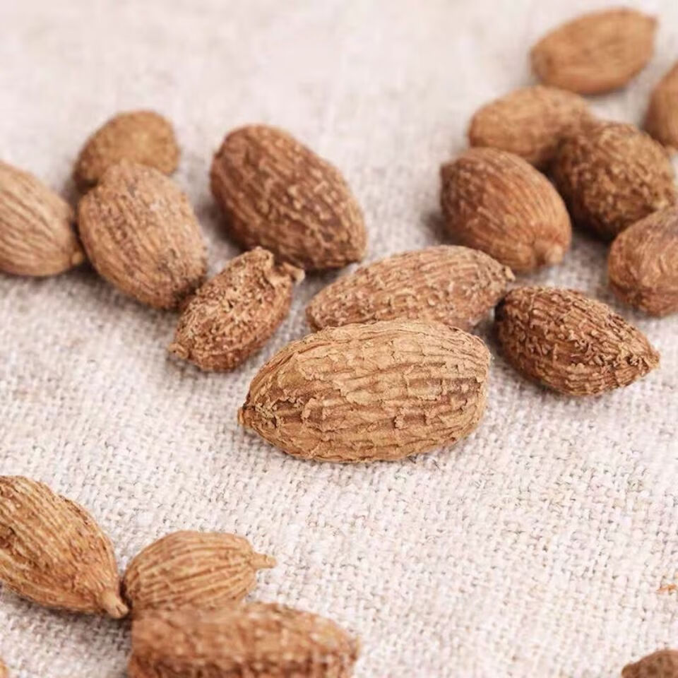 砂仁中药材砂仁阳春砂仁沙仁毛砂仁砂仁调料砂仁500克2000克