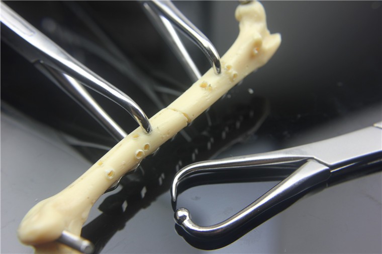 小动物骨科手术器械医用球头点状压接骨板复位钳尖头圆头复位器宠物