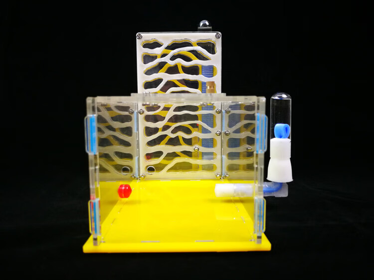 蚂蚁城堡新奇特蚂蚁工坊玩具巢亚克力窝家园房屋城堡宠物生态箱学生