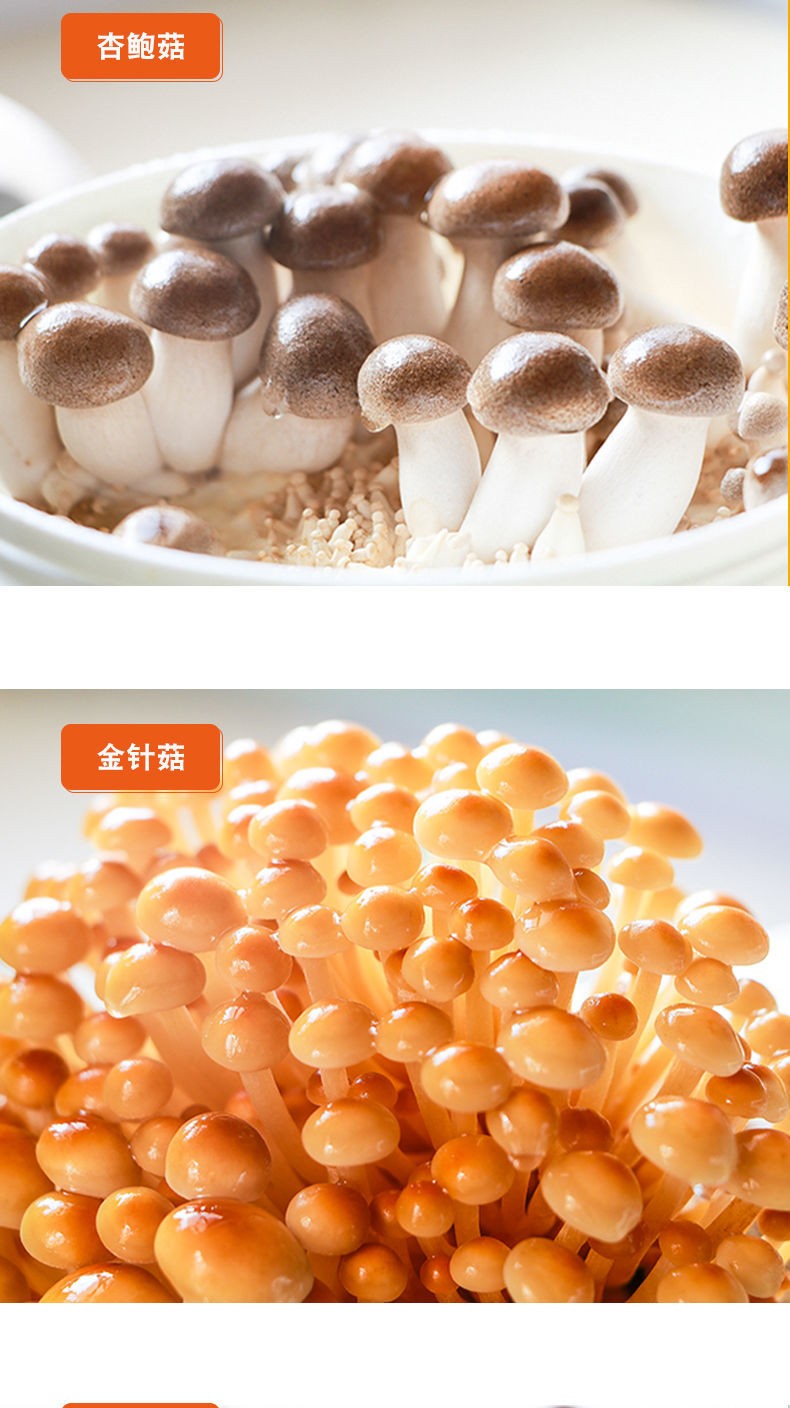 菌种菌包菌菇种植包平菇香菇金针菇杏鲍菇菌种家庭种植食用菌 秀珍菇
