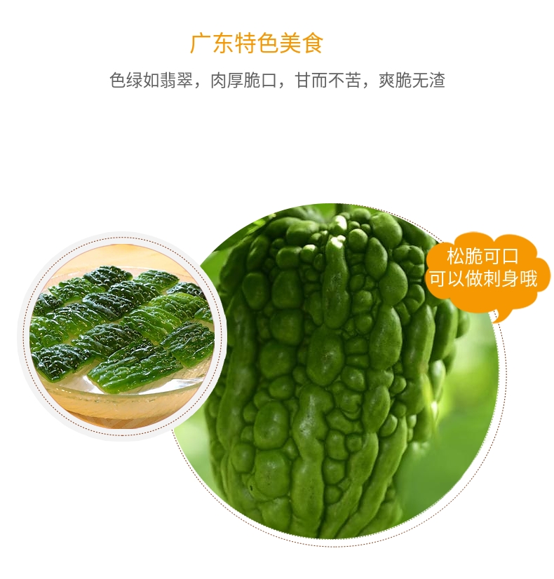 迭果 杜阮凉瓜5斤大顶苦瓜广东特产松脆无渣圆应季蔬菜新鲜顺丰 2500g