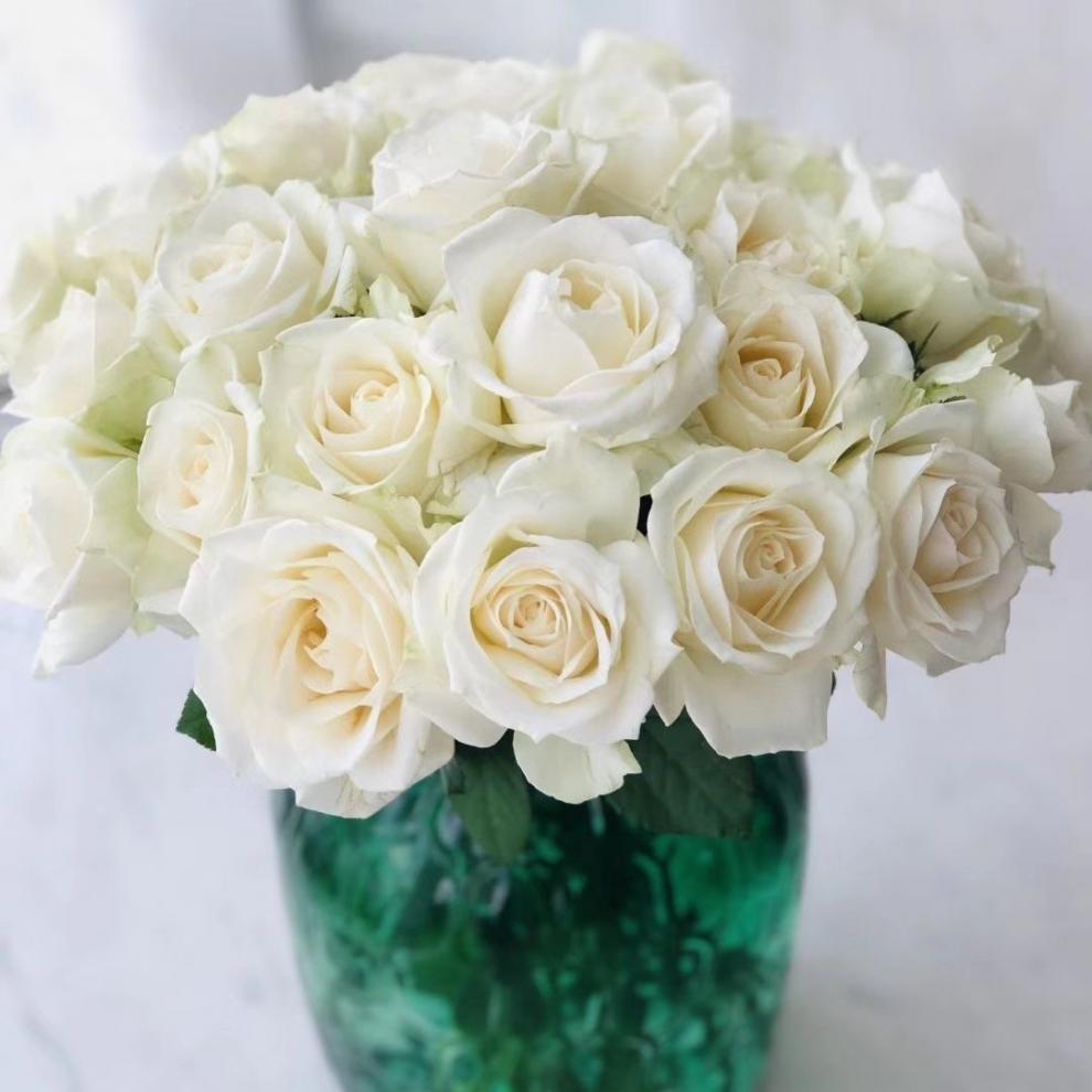 稀有高品质卡布奇诺荔枝苹果杰克太妃糖玫瑰鲜花昆明【顺丰】