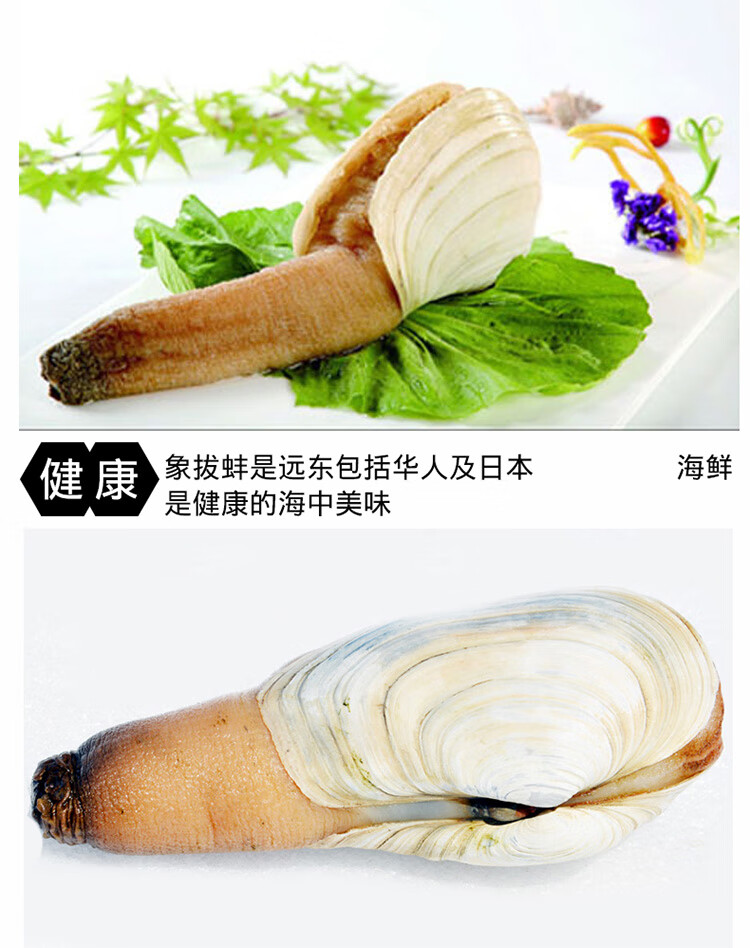 5678b53f57292f3f.jpg