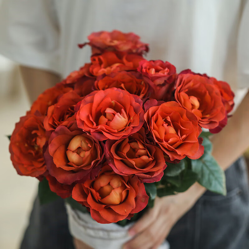 心头肉咖啡时间玫瑰新品月季特大花苗切花盆栽四季灌木庭院阳台花卉