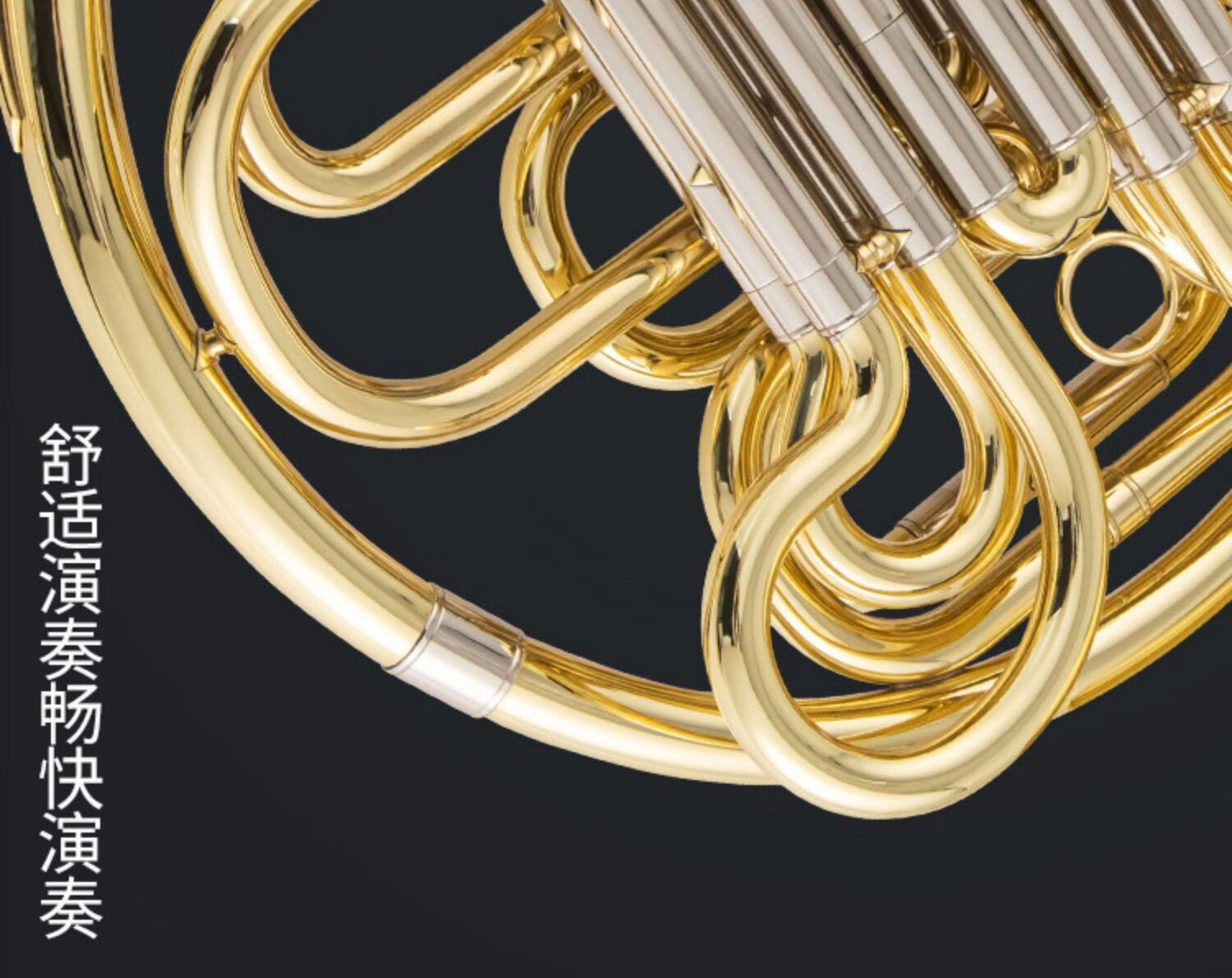 台湾阿贝尔塔斯曼降b调三键圆号双排四乐器专业乐团演奏级双排四键