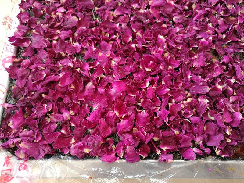 平阴玫瑰花茶食用重瓣红玫瑰干花瓣特级低温无硫做阿胶糕玫瑰醋用