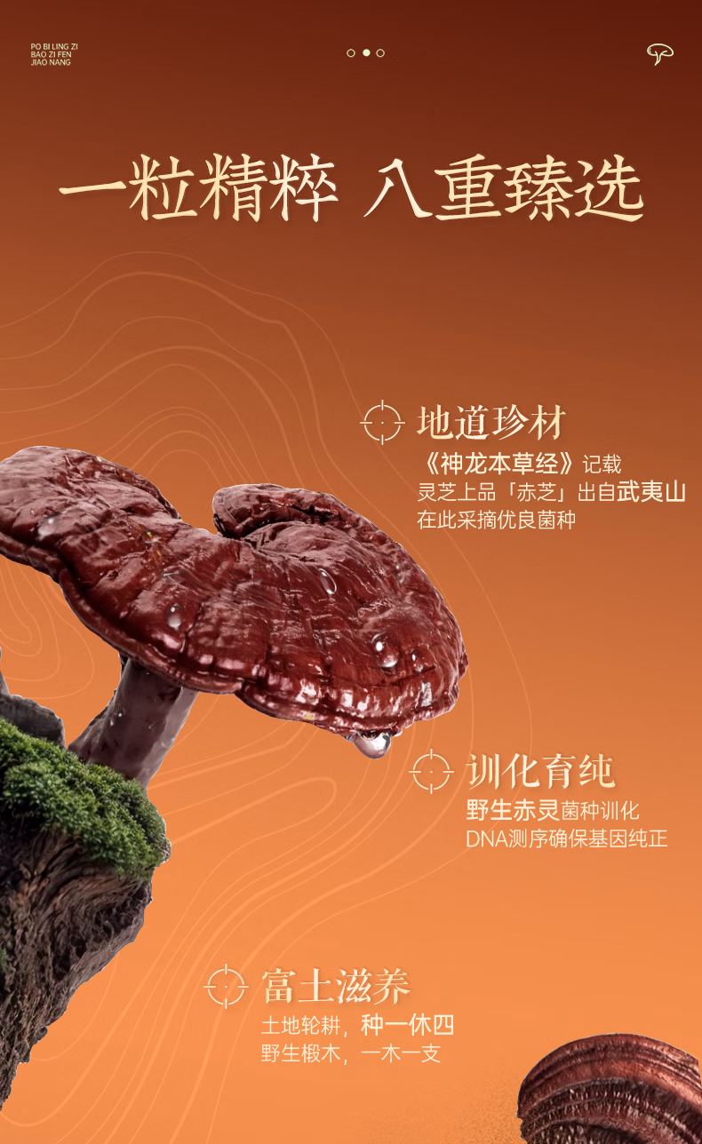 5b7d9357b78ece83.jpg.avif