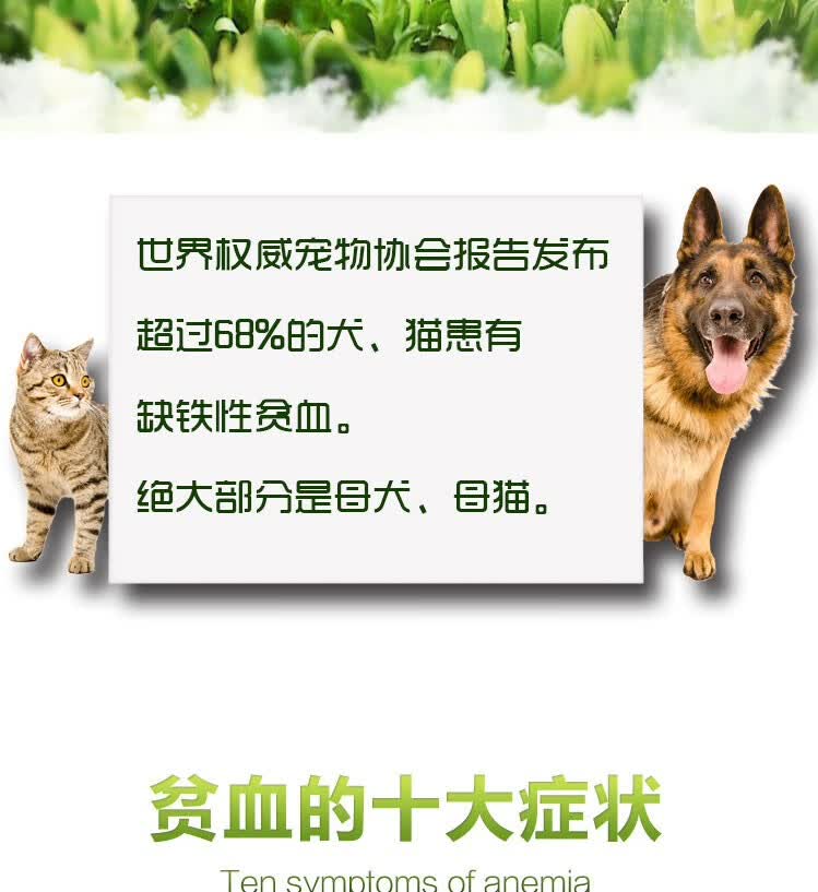 大瓶100ml 湾咖补血肝精猫补血肝精狗产后保护肝贫血牙龈白肝病肾衰犬瘟生血宝狗狗补血肝精湾咖补血肝精 图片价格品牌报价 京东