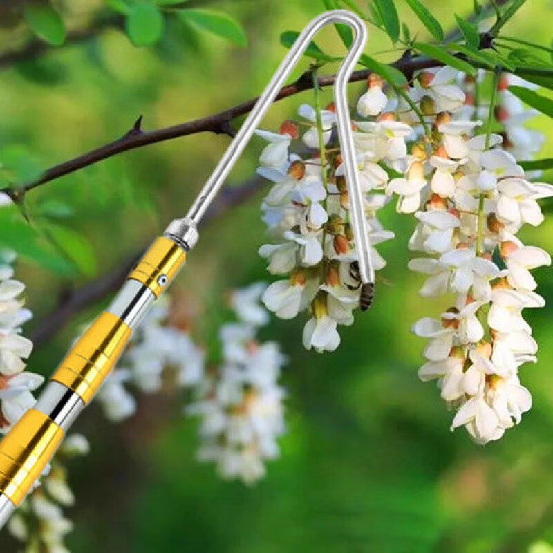 摘槐花神器摘香椿神器不锈钢伸缩杆高空摘果杆割槐花钩香椿多功能采摘