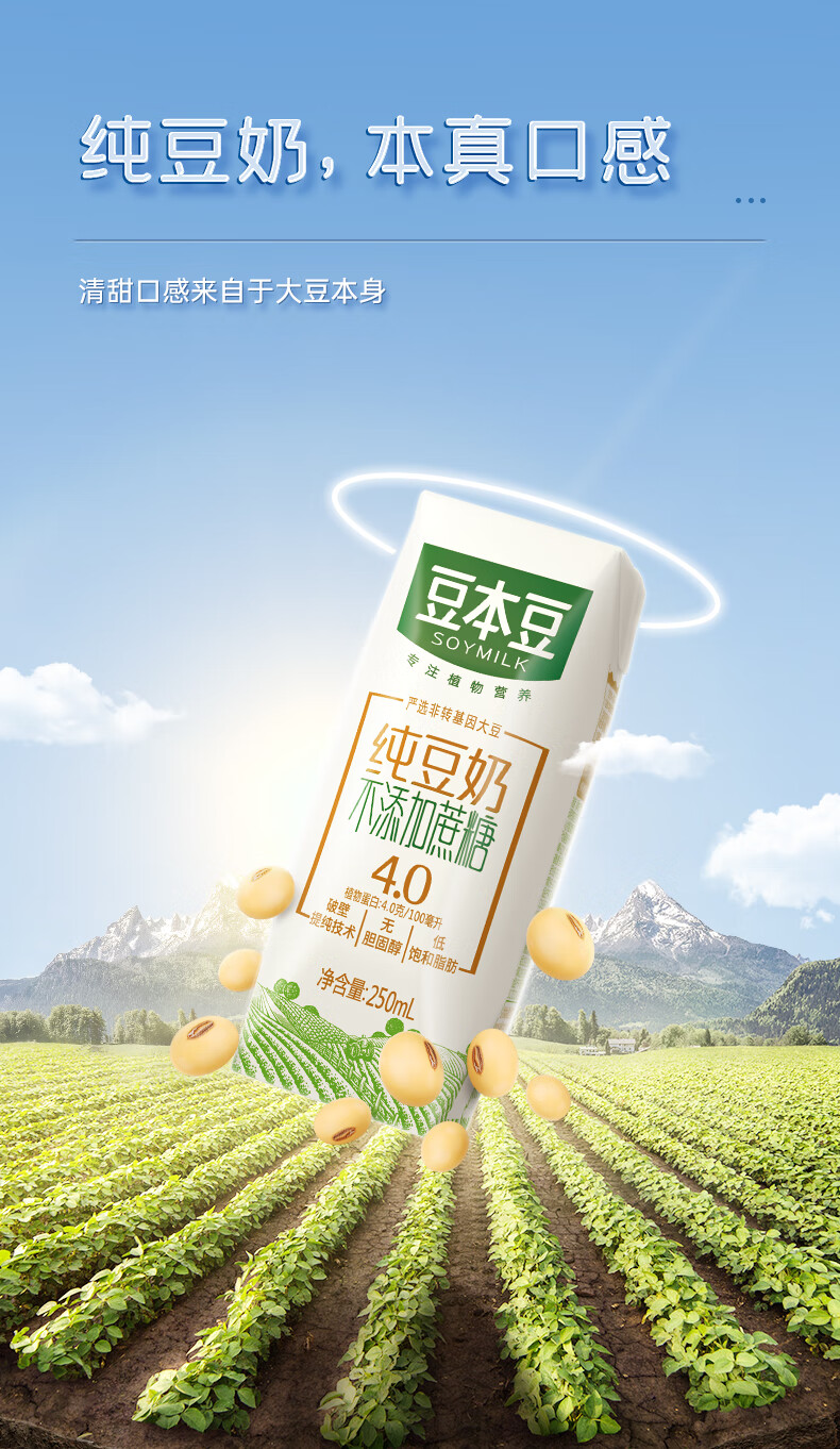 豆本豆豆奶纯豆奶营养早餐奶自营蛋白质代餐饮料整箱装纯豆奶250ml12