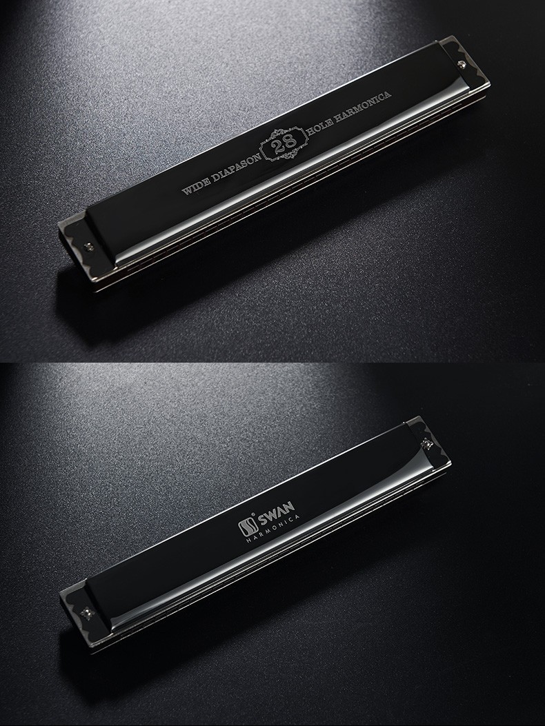 天鹅品牌德国进口音簧28孔重音口琴高级成人专业演奏级复音学生初学者