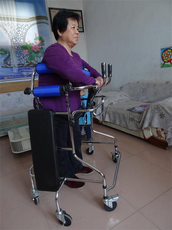 助行器血栓中风偏瘫瘫痪病人学步车老人助行老年人 6轮双腋 便盆 防后