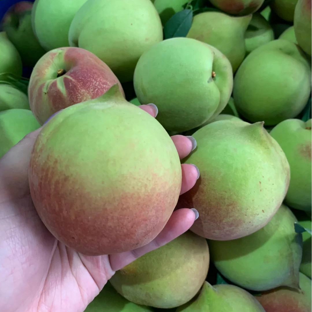 广东韶关翁源鹰嘴桃水果新鲜整箱当季现摘爽甜脆子特产 5斤 大果(3-4