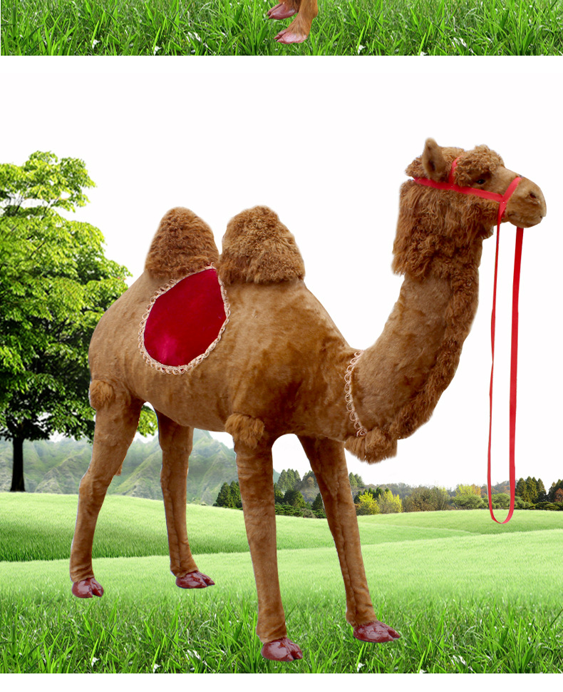 仿真骆驼模型展览儿童体验教学道具骆驼摆件大型可定制动物标本 大号