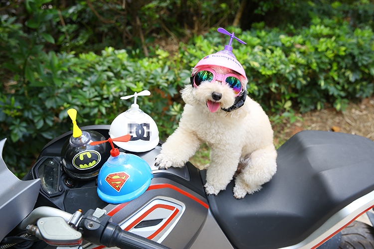 粉素面头盔 s(头围32cm 10斤以内)【图片 价格 品牌 报价