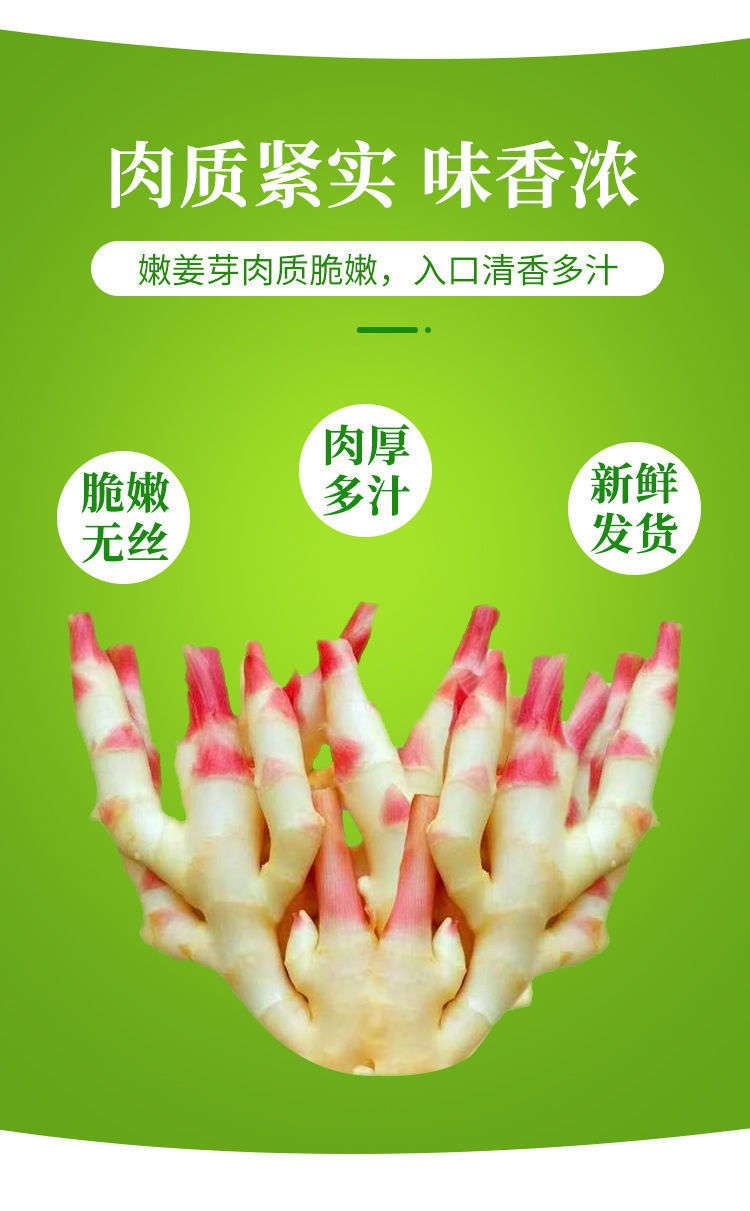 农家自种红芽姜可糖醋泡姜1~5斤 红芽嫩姜5斤【实惠装】【图片 价格