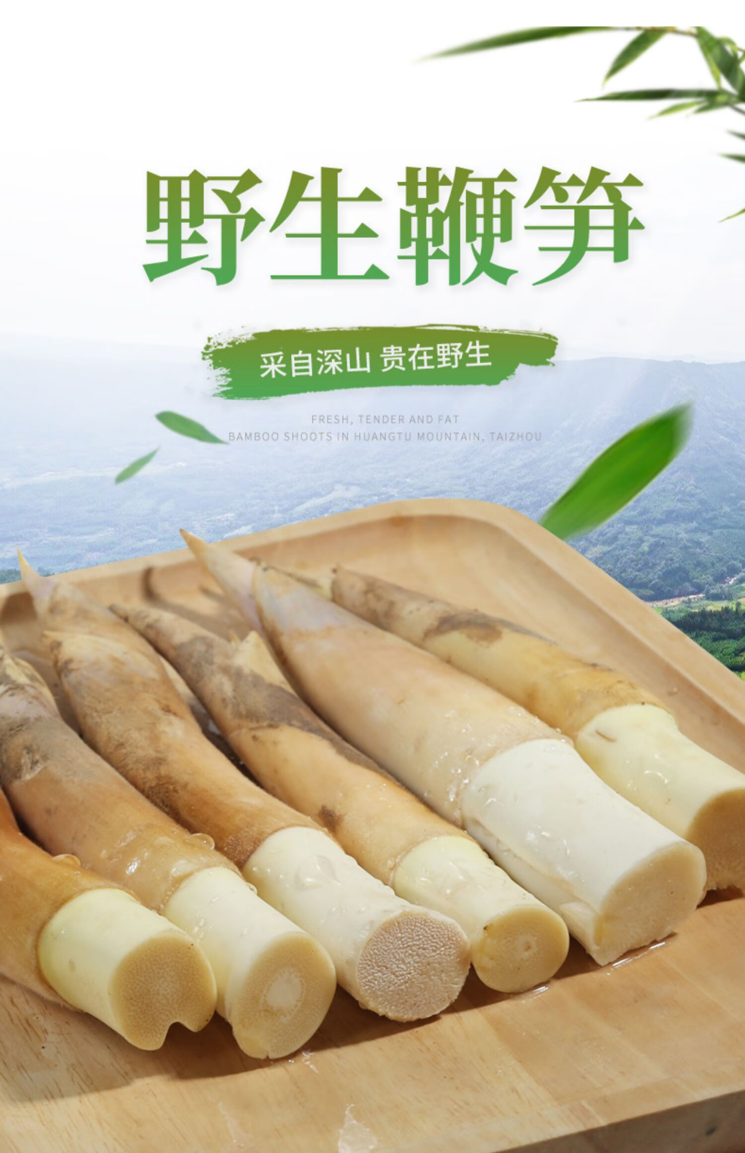 浙江新鲜竹笋马鞭笋 边笋小竹笋时令蔬菜嫩笋夏甜笋农家菜绿色蔬菜