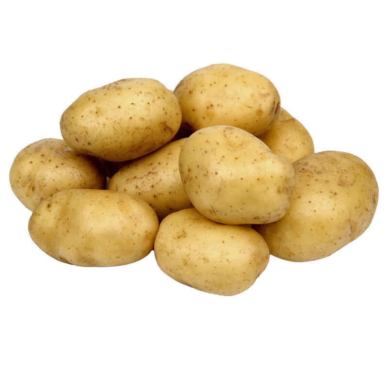 土豆的照片大全图片图片