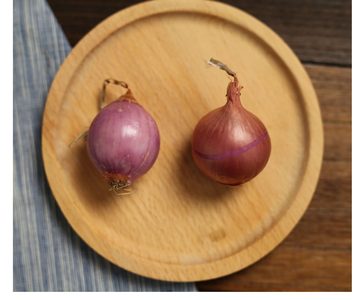 正宗东北新鲜小毛葱5斤迷你小圆洋葱农家鬼子葱笨洋葱红葱头生吃蘸酱