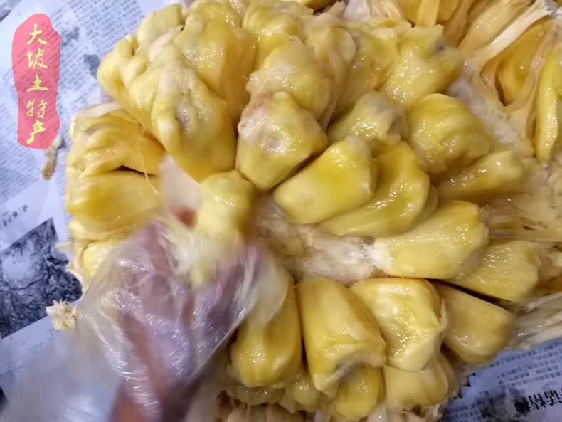 采缇正宗高州手撕湿包菠萝蜜新鲜干包黄肉波罗非进口越南红肉菠萝高州