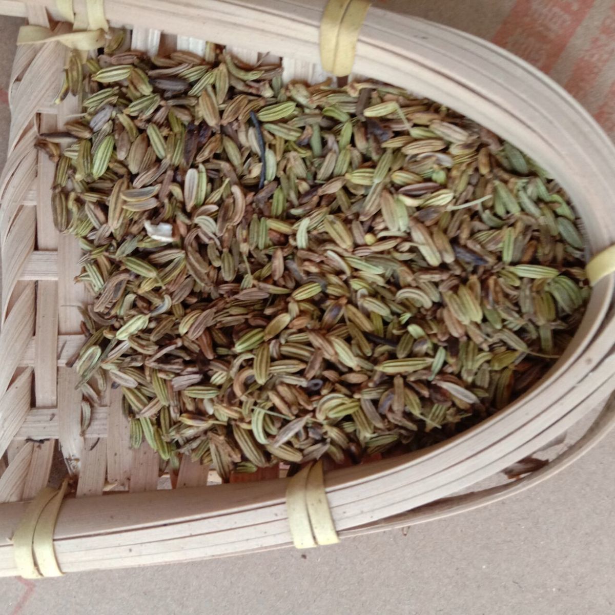 偉博炒小茴香 鹽炒茴香500克小回香中藥材 新鮮乾貨乾煸小茴香 500g