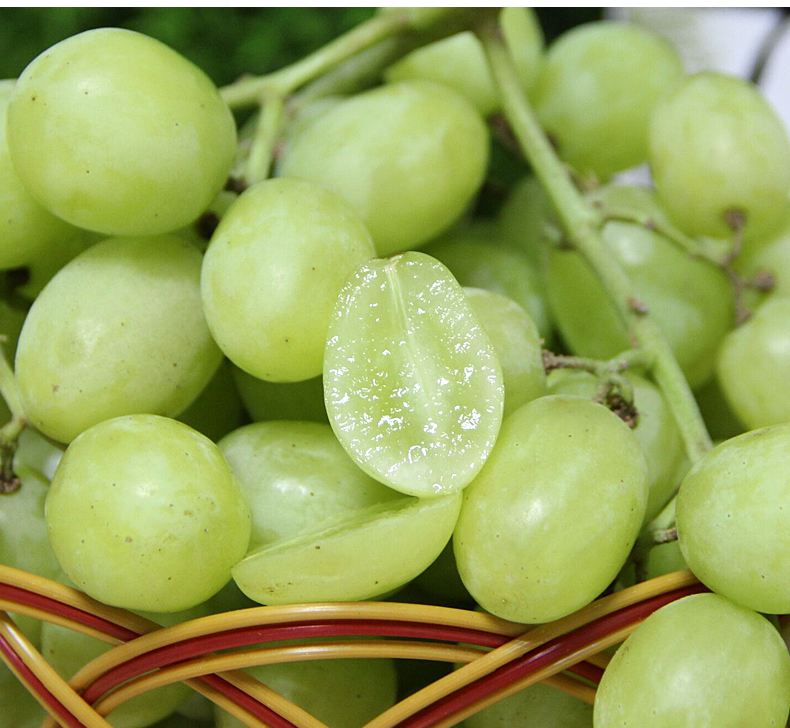 维多利亚青提葡萄5斤新鲜孕妇水果青提绿提子 4斤【图片 价格 品牌
