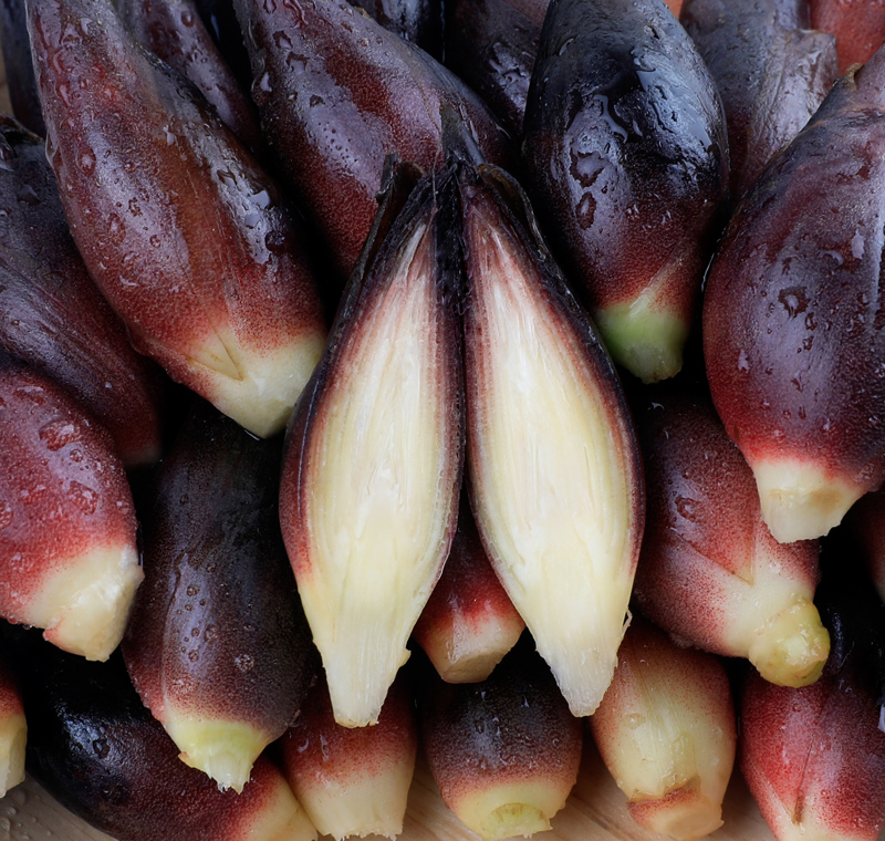 鲜速配】阳荷姜洋荷姜3斤新鲜蔬菜阳藿胡姜当季整箱农家特产茗笋蘻荷