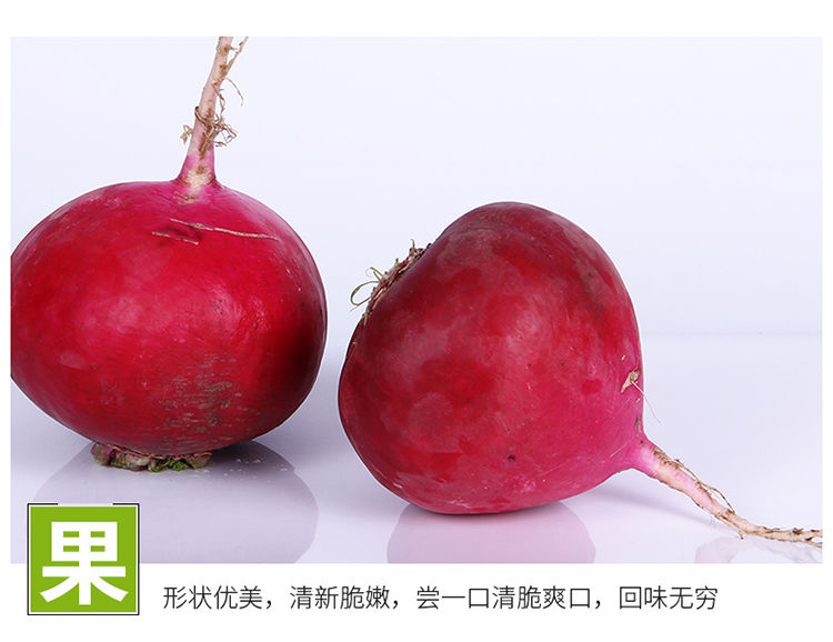 东北大萝卜红皮萝卜大红萝卜大萝卜5斤